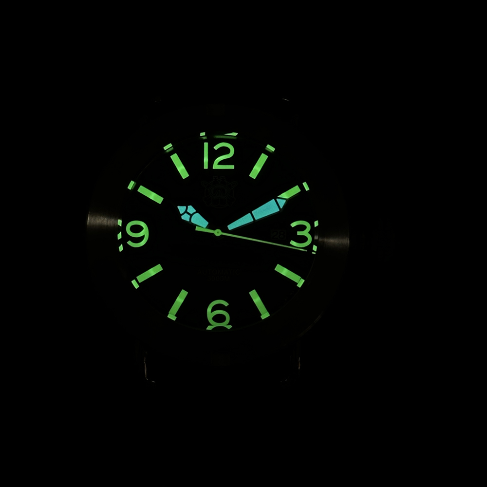 Steeldive 2025 Watch SD1912 Ov - Seiko Watch Prospex review and price