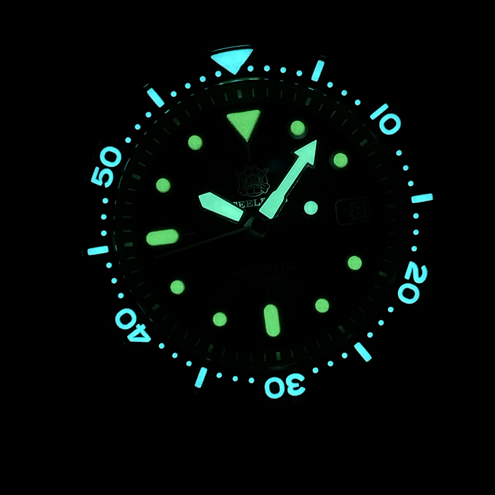 STEELIDVE SD1973 Slim Turtle 4 - Seiko Watch Prospex review and price